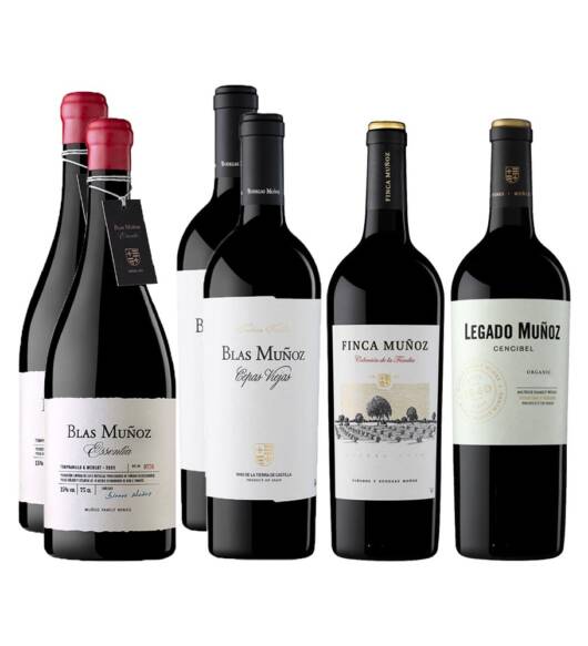 Pack Top Tintos Bodegas Muñoz